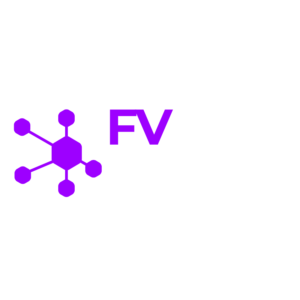 FV digital marketing